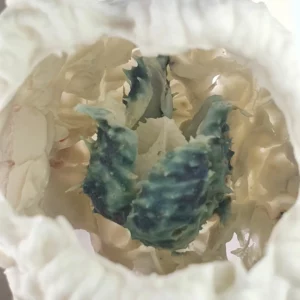 Datura porcelaine d'art