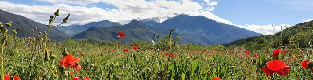 Pyrénées Orientales

