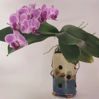 Pot orchidée artisanal