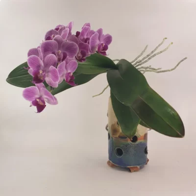 Pot orchidée artisanal