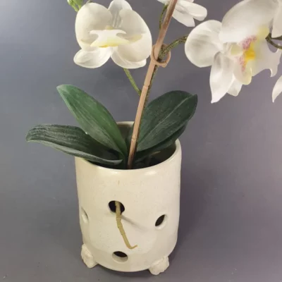 Pot Orchidées