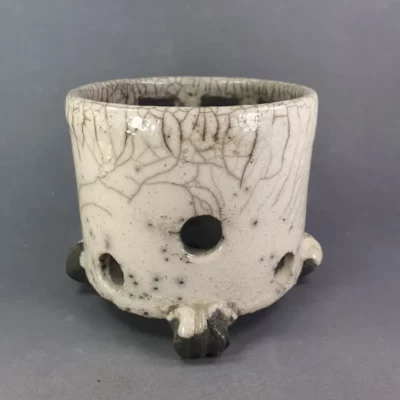 Pot Orchidées